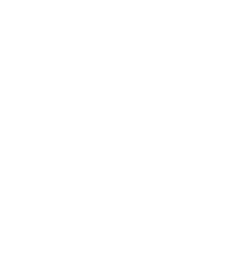 Berkeley AI Safety Initiative (BASIS) logo